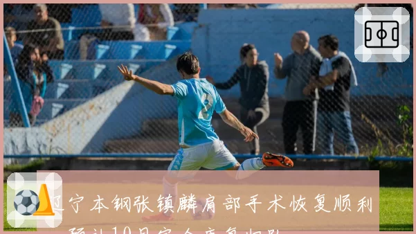 辽宁本钢张镇麟肩部手术恢复顺利，预计10月完全康复归队