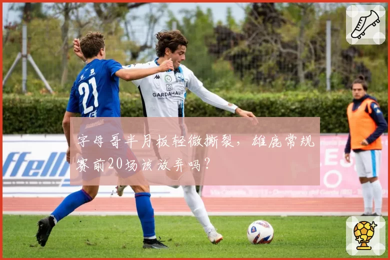 字母哥半月板轻微撕裂,雄鹿常规赛前20场该放弃吗?