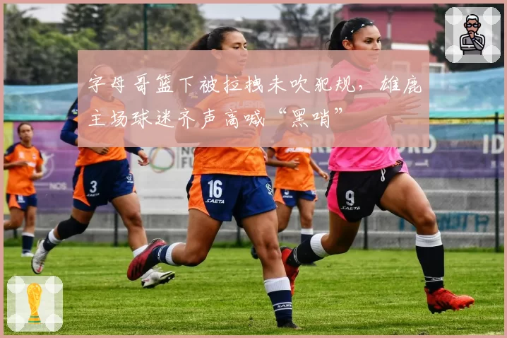 字母哥篮下被拉拽未吹犯规，雄鹿主场球迷齐声高喊“黑哨”